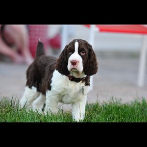 Meet your Posher, Cathleen